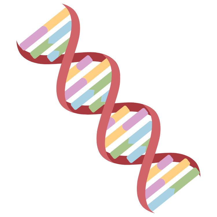 Innovación y Precisión